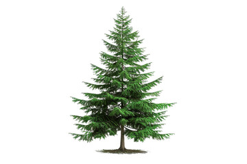 christmas tree isolated on white