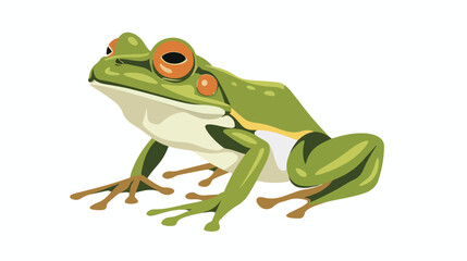 Frog  flat vector isolated on white background 
