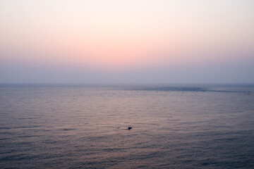 View of a floating on the sea during sunset