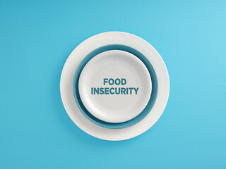 The inscription Food Insecurity written on a plate over blue background.