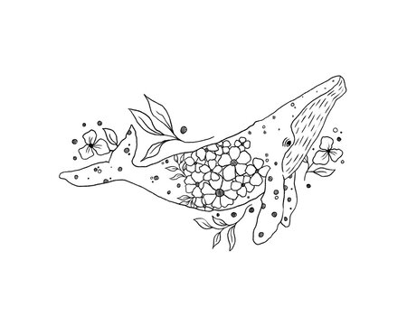 Whale and flowers illustration on white background