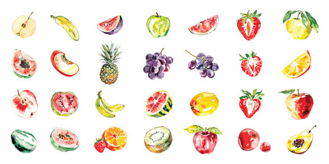 Watercolor collection of fruits, including apples, bananas, oranges, and strawberries, with each fruit slice depicted in detail