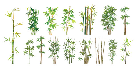 A collection of bamboo plants in various sizes and shapes. The plants are all green and are arranged in a way that creates a sense of depth and dimension
