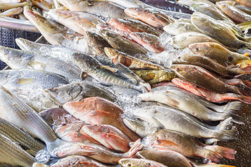Various species of fish were stacked in rows for sale on the stalls. They are caught and sold in the fresh market by local fishermen every morning to be prepared as food.