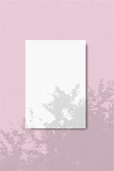 An rectangle sheet of white textured paper on a pink wall background. Natural light casts shadows from a tropical plants. Vertical mockup