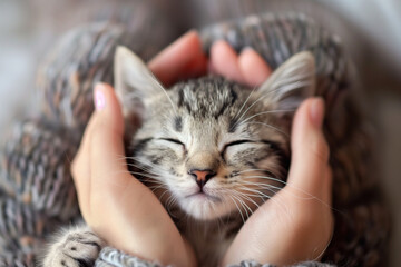 A cat is sleeping in a person's arms. The cat is curled up and he is very relaxed