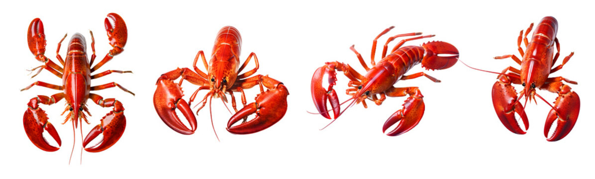 lobster isolated on a transparent PNG background, white background , Generative Ai