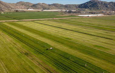 Cut rows n alfalfa field seen from aerial viewpoint in Menifee southern California United States