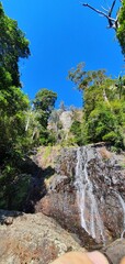 waterfall in the forest