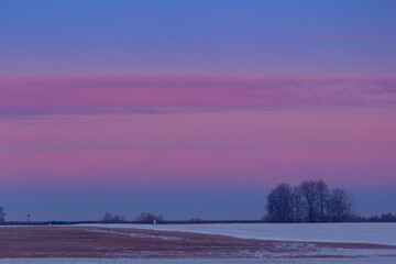 A beautiful tree silhouette against morning sky in early winter. Seasonal landscape of Northern Europe.