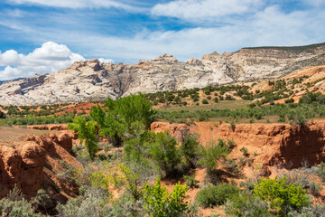 Fototapeta na wymiar Landscape Of the Beautiful Desert, Dinosaur National Monument