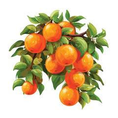 bunch of oranges on a tree