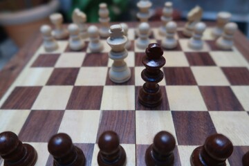 chess pieces on a chessboard  war against king vs king or president vs president