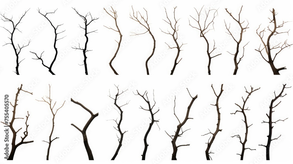 Poster A stark image of bare trees against a white backdrop. Perfect for minimalistic designs