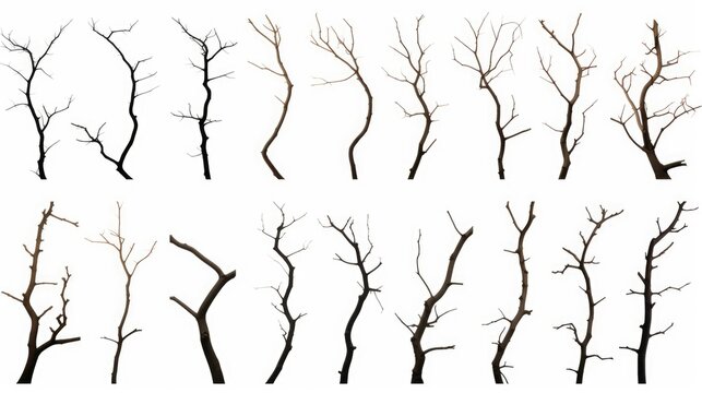 A stark image of bare trees against a white backdrop. Perfect for minimalistic designs