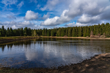 Zankwieser Teich im Harz
