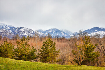 view of the mountains with freshly fallen snow and the park in late autumn