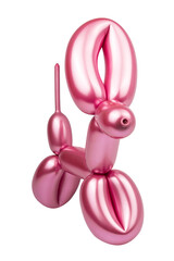 Party festive balloon dog twisting modeling isolated on the white background