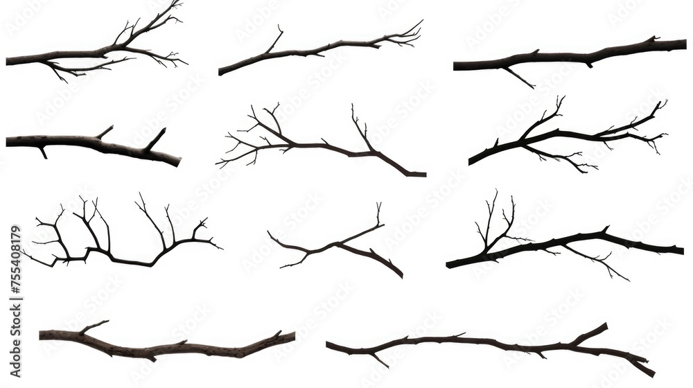 Poster Branches suspended in mid-air, suitable for abstract concepts