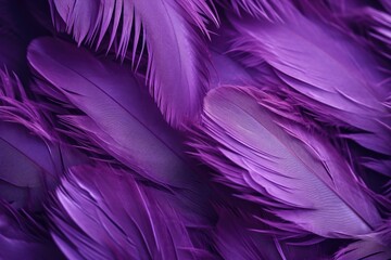Obraz premium A close-up of a bunch of purple feathers. Suitable for various design projects