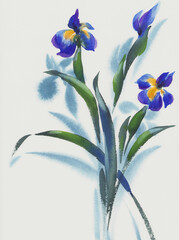 A bouquet of three iris flowers painted in watercolor on white background - 755409321