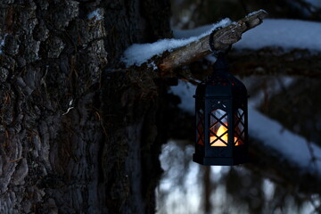 lighted Christmas lantern hanging on a tree branch in dark at forest