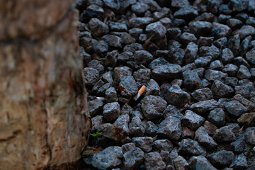 Stones and Cigarettes