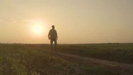 The figure of a farmer in the rays of the setting sun. Sunset in an agricultural field on which a...