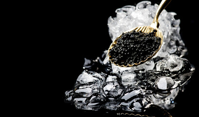 Black Caviar in golden spoon. High quality natural sturgeon black caviar close-up. Delicatessen. Texture of expensive luxury caviar on ice over black background. 