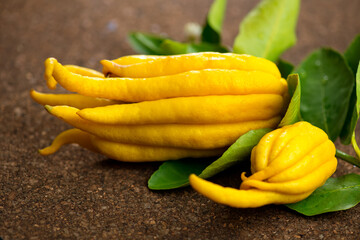 Buddha hand citrus fruit. Yellow Organic fingered citron, Buddha's Hand Citrus Fruit with Fingers, flowers and leaves of plant. Aromatherapy concept.  - 755417779