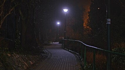 Dark Park Alley on Misty Cold Evening