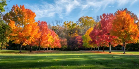 Fotobehang Colorful Fall Foliage: A Vibrant Autumn Scene Among Trees. Concept Fall Foliage, Autumn Scenery, Vibrant Colors, Nature Photography, Landscape Portrait © Anastasiia