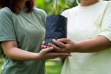 Old Asian Women and daughter join as volunteers for reforestation, earth conservation activities for reduce global warming growth feature and take care nature earth. Environment Concept