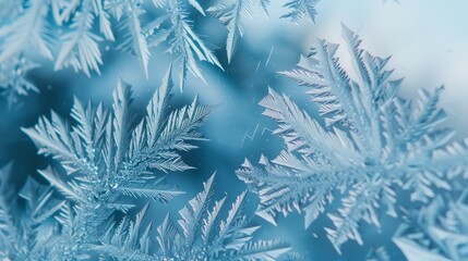
A macro photograph of ice crystals forming intricate patterns on a window pane