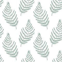 Vector illustration. Seamless pattern of green fern leaves on a white background. Printing on textiles, for packaging, product design, wallpaper, design of notebooks.
