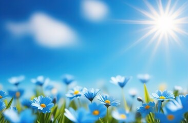 Spring background, field of daisies against blue sky, copy space