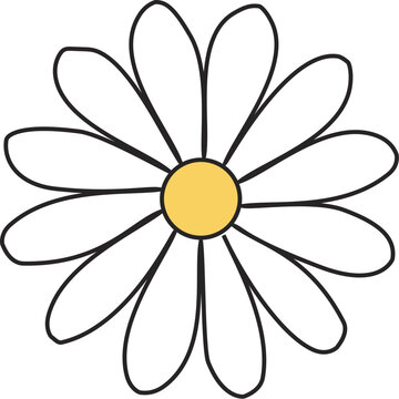 Single hand drawn Simple minimalist white daisy flower vector illustration art