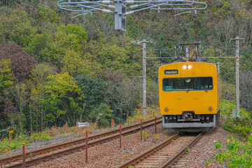 Obraz premium １１５系