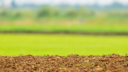 Farms views blur background
