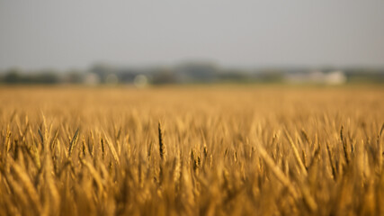 Farms views blur background