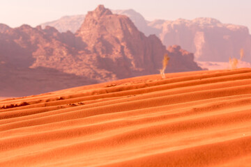 Morning landscape Wadi Rum desert, Jordan