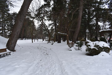 冬の弘前公園