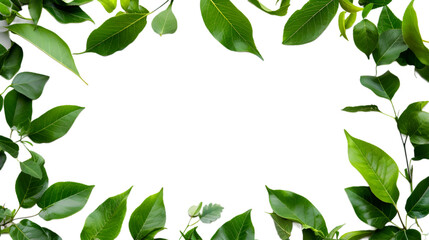 Fototapeta premium Leaf frame on transparent background