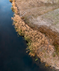 Aerial look down view on river blue water surface with dry reeds on riverbanks. Autumnal river in Ukraine