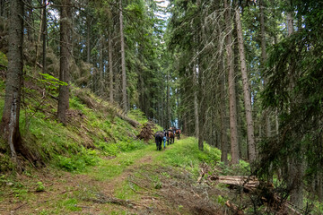 Horseback riding in the carpathian landscape