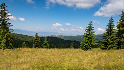 Fototapeta premium Horseback riding in the carpathian landscape