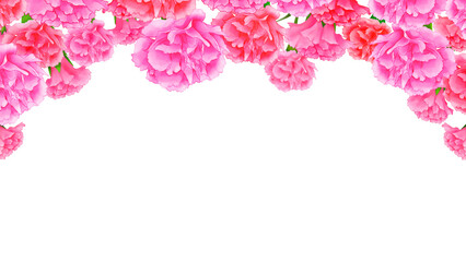 カーネーションのフレーム　背景素材　飾り枠　見出し　表紙　ブーケ　おしゃれ　エレガント　シンプル　白背景　透過　16:9