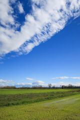 Po Valley landscape landscape fields crops winter sun