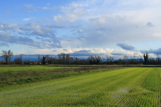 Po Valley landscape landscape fields crops winter sun