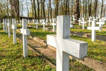 White crosses in a military cemetery in the spring, close-up